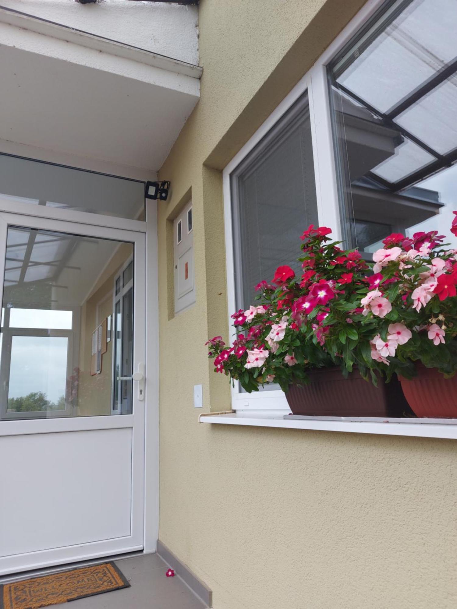Apartman Kovac-Bilje Pokój zdjęcie